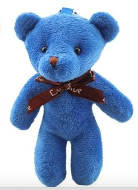 Together We Win Bear β Wearable Kindness You Can Share!