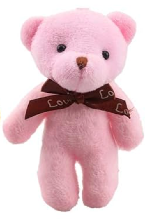 Together We Win Bear β Wearable Kindness You Can Share!