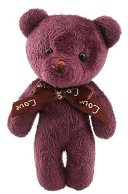 Together We Win Bear β Wearable Kindness You Can Share!